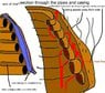 gas hot sections through casings.jpg