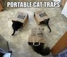 LOL-Cats-05.jpg