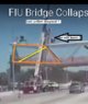 fiubridge7.jpg