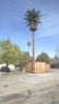 Cell Tower Palm Tree in Santa Clara.jpg