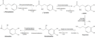 Conversion_of_phenylalanine_and_tyrosine_to_adrenaline.png