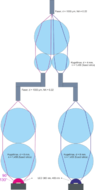 Faserkopplung 2 LEDs 2.png