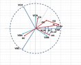 synchronous motor vectorial diagram.jpg