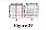 Figure 29.jpg