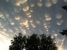 mammatus_cloud_canada-620x463.jpg