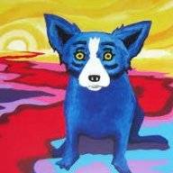 Newtons Blue Dog