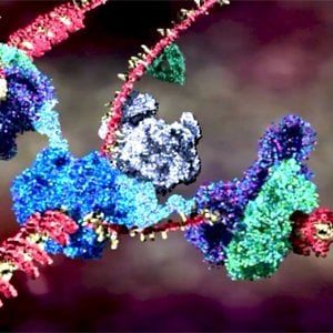 Your Amazing Molecular Machines - YouTube