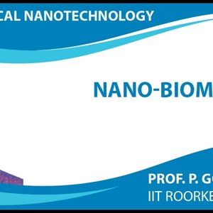 Biomedical Nanotechnology by Prof. P. Gopinath (NPTEL):- Nano-Biomimicry