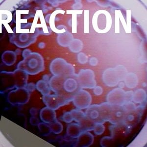 The Belousov-Zhabotinsky Reaction - Christmas Lectures with Ian Stewart