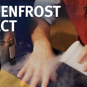 Liquid Nitrogen and the Leidenfrost Effect