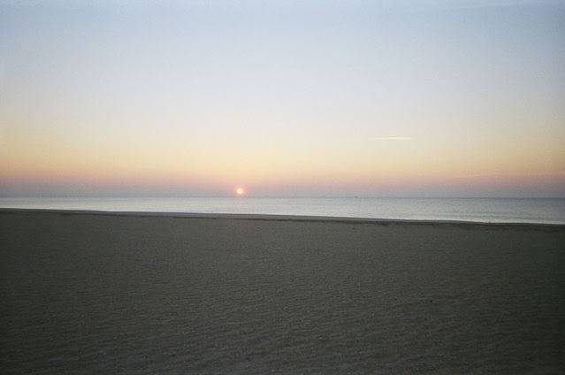 01420026.jpg