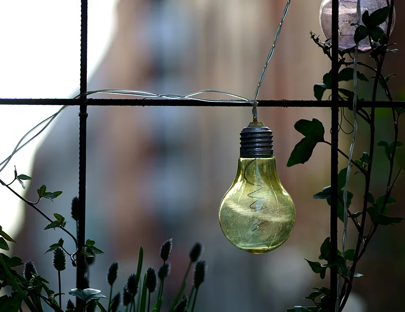 1 - Bulb.webp