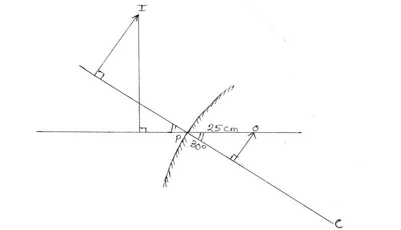 1000018439.jpg