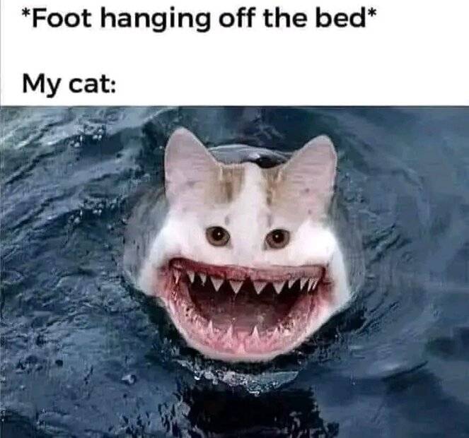 1000025125.jpg