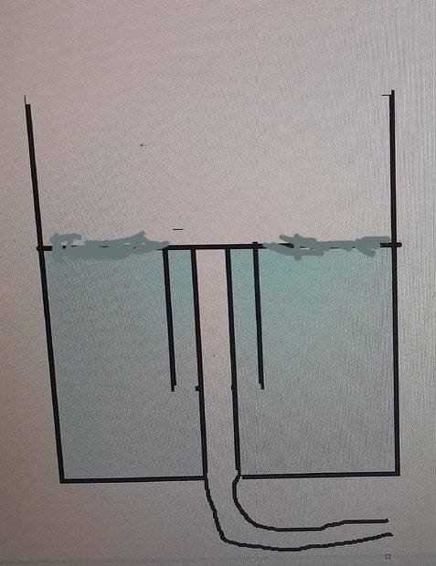 1000033657.jpg