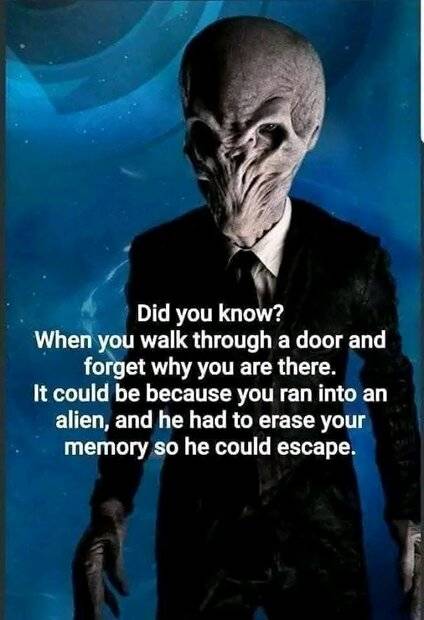 1000046481.jpg