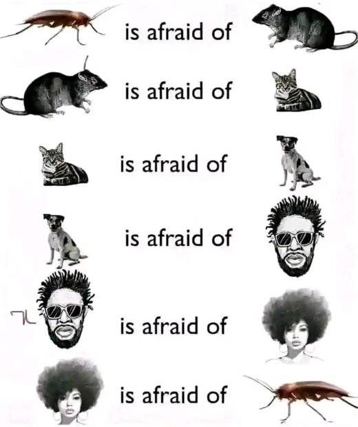1000046612.jpg
