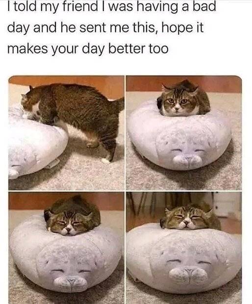 1000046726.jpg