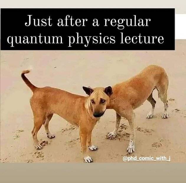 1000056469.jpg