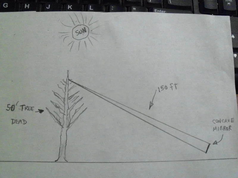 101_1664.webp