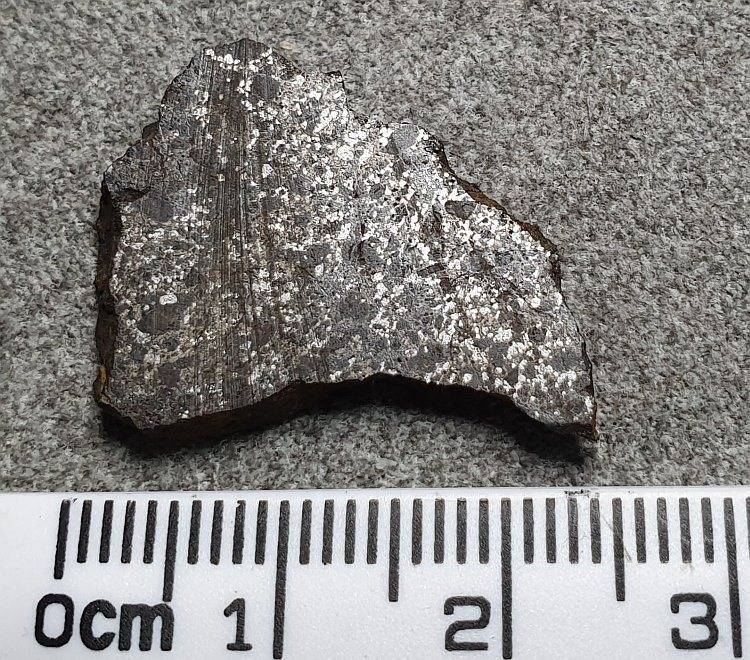 #104 NWA 12949 Mesosiderite Morocco.jpg