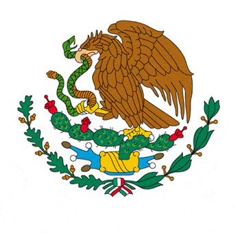 Realizing Attention to Detail: My Experience with the Mexican Flag