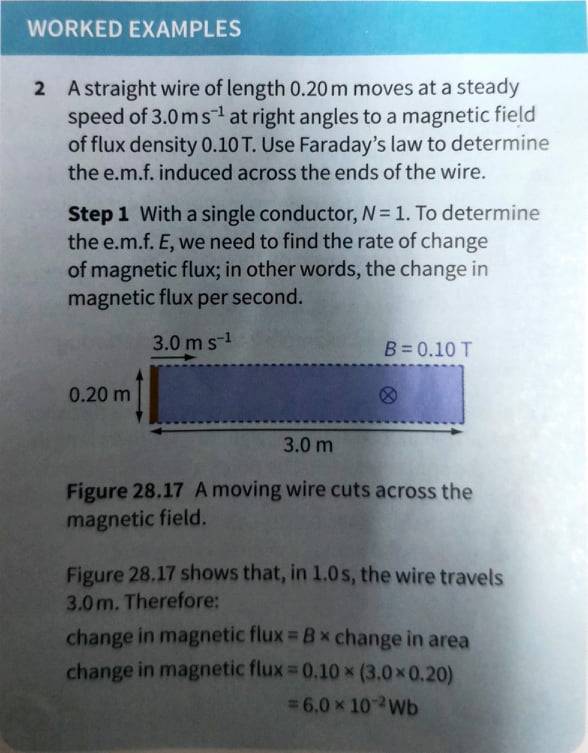 118159100_301861577709550_7378452082210100454_n.jpg