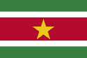 125px-Flag_of_Suriname.svg.png