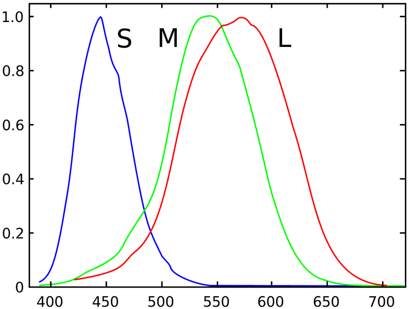 1280px-Cones_SMJ2_E.svg.png
