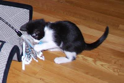 12_10_2%20048_crop.jpg