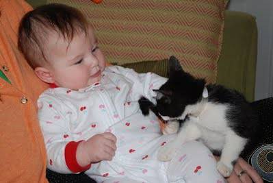 12_10_2009%20030%20crop%2025p.jpg