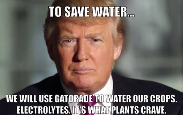 13-donald-trump-meme-save-water-gatorade-electrolytes1.jpg