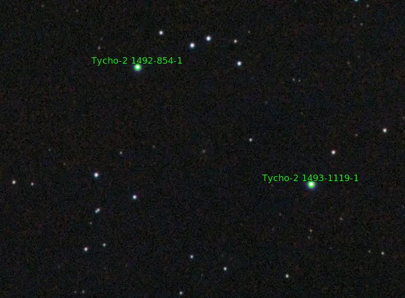 13492581.webp