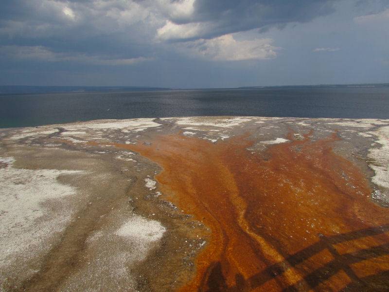 13_West Thumb rust.JPG