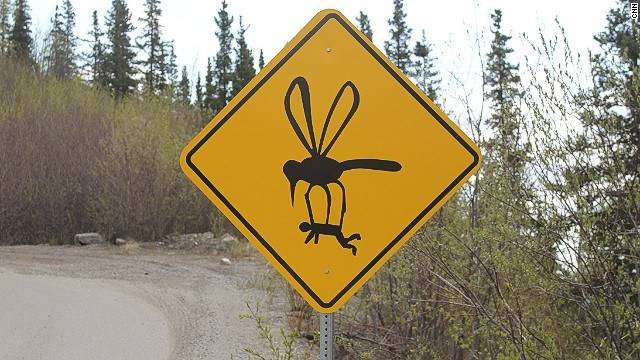 140603110146-grande-avenue-mosquito-horizontal-gallery.jpg