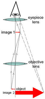 150px-Microscope_compound_diagram.png