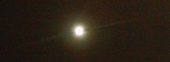 151001_10151197815778640_1332176058_n.jpe
