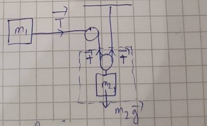 155434234_755501075359888_7661044753117238048_n.jpg