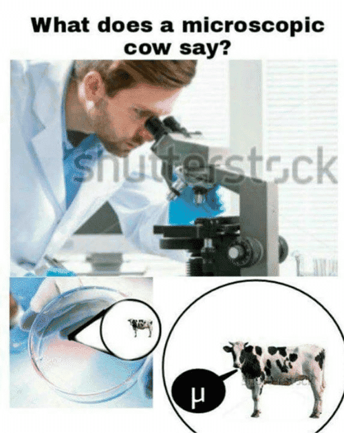 244941