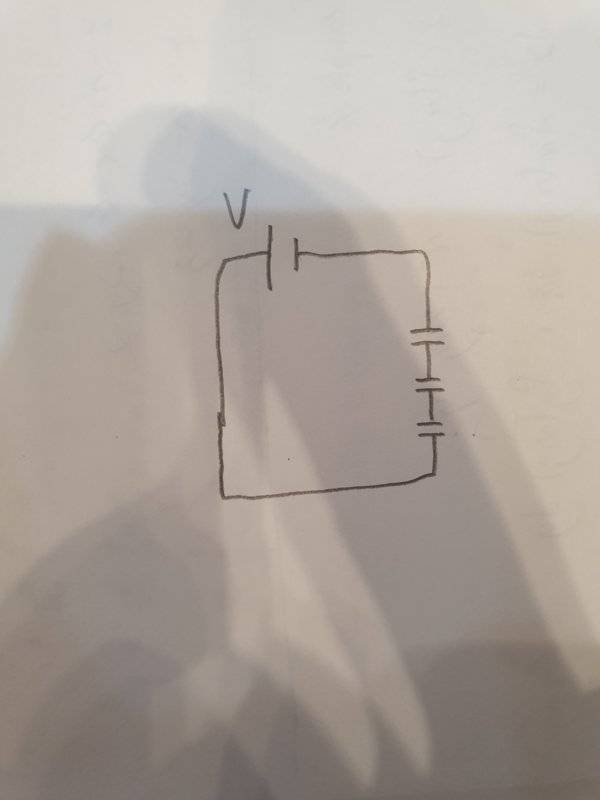 15698501112254342565302117401508.jpg