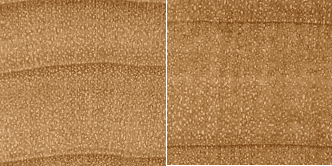 1576962709865.png