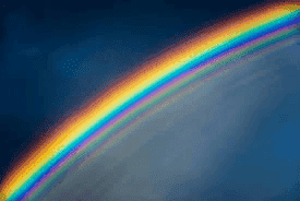 1589194438846.png