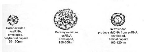1597965540992.png