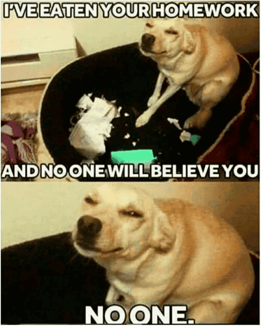 1604183234467.png