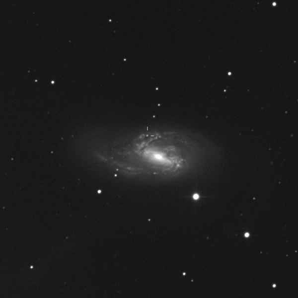 160530 Supernova in M66 in Leo, announced.jpg