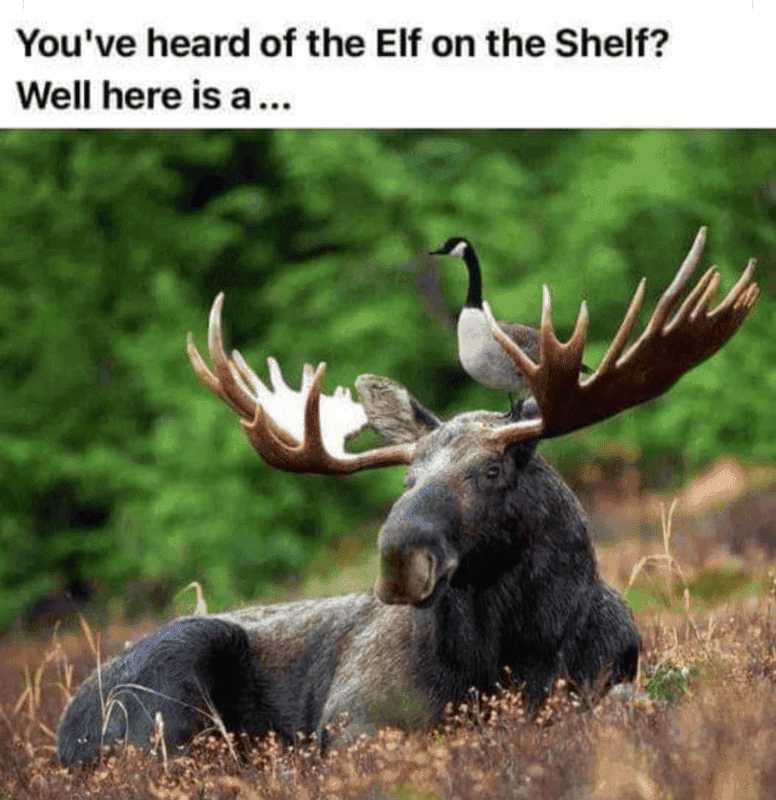 1607909929378.png