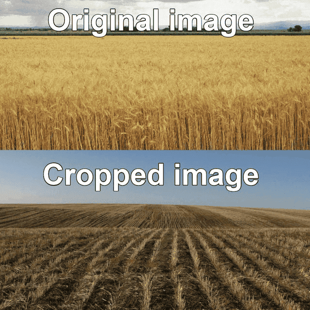1611601975077.png