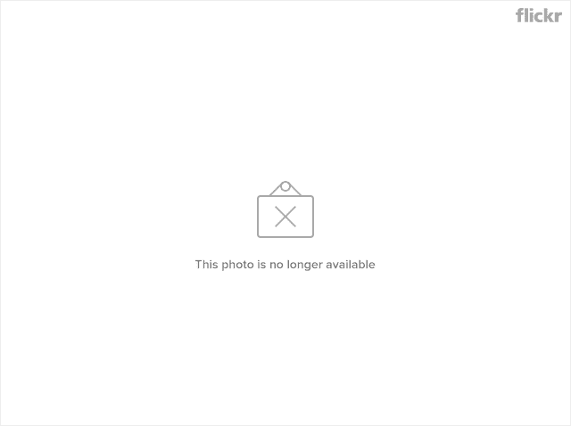 16132239008_6220f73998_z.jpg