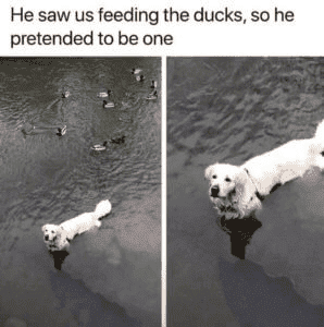 1617051252505.png