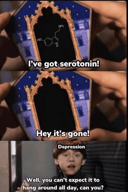 1617051448551.png